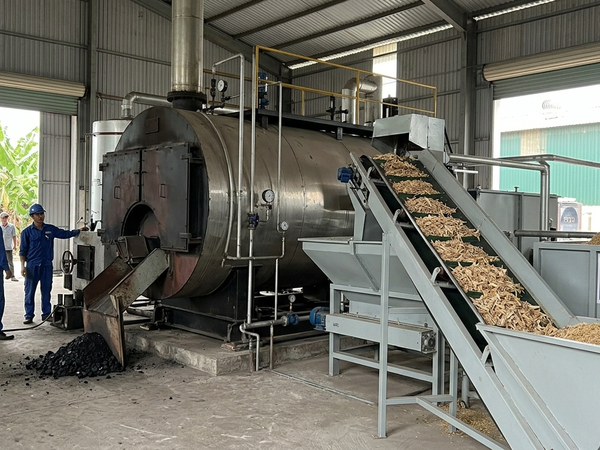 Chuyển đổi Lò hơi đốt than sang Biomass: Lời giải bài toán ESG hay "Bẫy" chi phí vận hành?